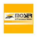 Mo.Ser. - Francesco Molon