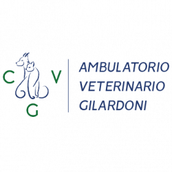 Ambulatorio Gilardoni S.r.l. logo