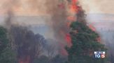 Emergenza incendi, oggi allerta in Sardegna