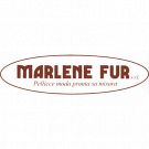Pellicce Marlene Fur