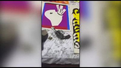 In Brasile ritrovate 8 opere di Matisse (con accanto una pistola)