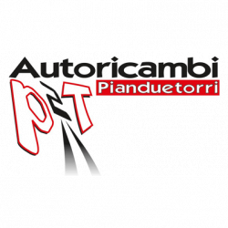 Autoricambi Pian due Torri Magliana logo
