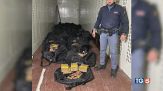 Droga, una tonnellata per la movida romana