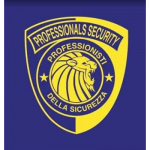 New Security Professional
