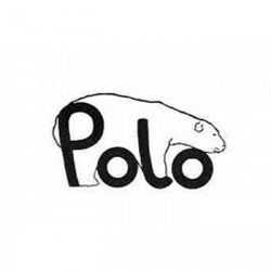 Polo Condizionatori logo