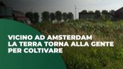 Vicino ad Amsterdam la terra torna alla gente per coltivare
