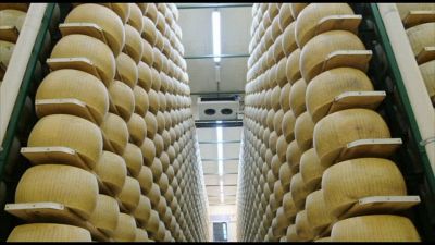 Alla scoperta del Parmigiano Reggiano con "Caseifici aperti"