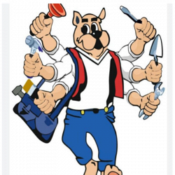 Bf Multiservizi logo