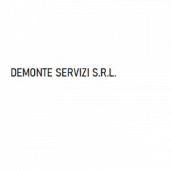 Demonte Servizi logo