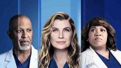 Grey's Anatomy 19 ecco tutte le new entry