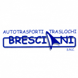Bresciani Traslochi logo