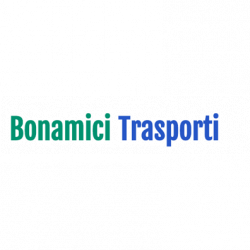 Bonamici Trasporti Casseforti logo