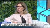 Mercosur, Naturale (M5S): Clausole di salvaguardia incerte