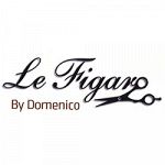 Parrucchiere Le Figaro' Domenico
