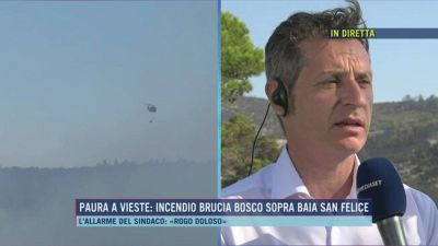 Vieste, l'allarme del sindaco: "Rogo doloso"
