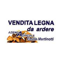 Azienda Agricola Martinotti Emilio logo