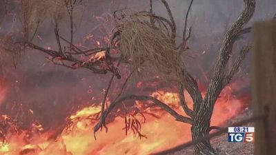 Nuovi incendi a Los Angeles
