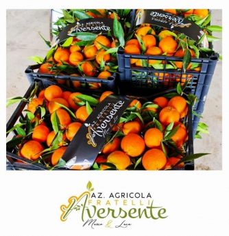Arance - Azienda Agricola F.lli Aversente Corigliano Calabro - Calabria
