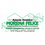 Azienda vivaistica Morena Felice - Cicas, Cocos, Ingrosso piante da Orto