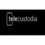 Telecustodia