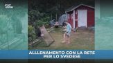 Prosegue il recupero dall'infortunio di Kulusevski: l'allenamento a casa