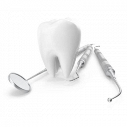 Odontoiatria Maria Gentili S.r.l. logo