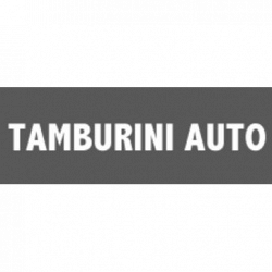 Tamburini Auto Concessionaria logo