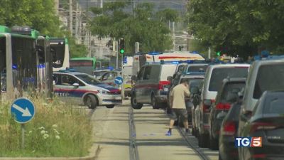 Studente spara a scuola in Austria è una strage