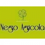 Negro Agricola