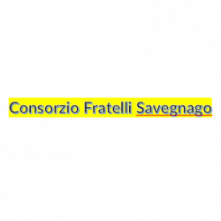 Centro Revisoni Savegnago Giordano logo