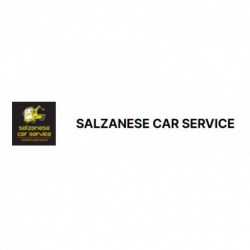 Carrozzeria Salzanese Car Service logo