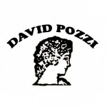 David Pozzi