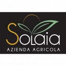 Solaia Azienda Agricola