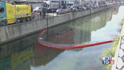 Dal Naviglio ai mari, è emergenza ambientale