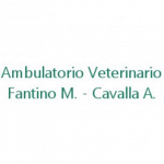 Ambulatorio Veterinario Fantino - Cavalla