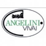 Vivai Angelini di Andrea Mattei