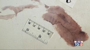 Sull'impronta n.33 scontro tra i periti