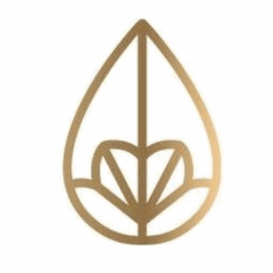 Luxo Srl logo
