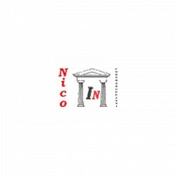 Nico Controsoffitti logo
