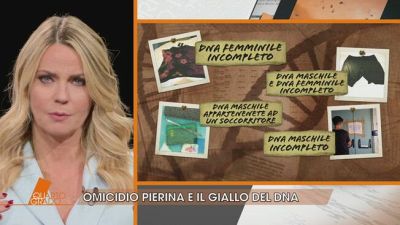 Omicidio di Pierina e il giallo del DNA