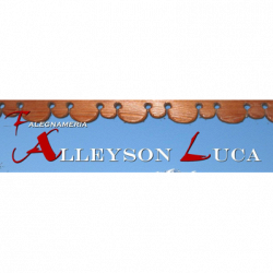 Falegnameria Alleyson Luca logo