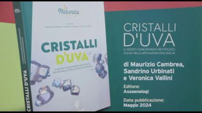 Enologia, il primo libro sul Mosto Concentrato Rettificato Solido