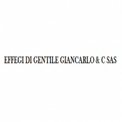 Effegi logo