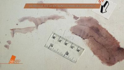 Il delitto di Garlasco, la traccia 33 e la 97F: sono le mani dell'assassino?