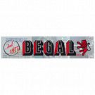 Begal