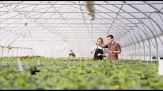 Investire nelle startup AgriFoodTech italiane per innovare settore