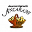 Azienda Agricola Ancarani
