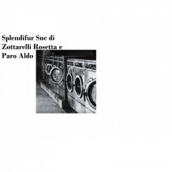 Splendifur Snc di Zottarelli Rosetta e Paro Aldo logo