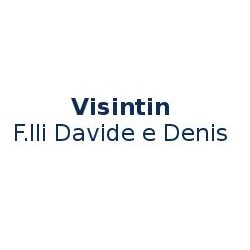 Visintin F.lli Davide e Denis logo