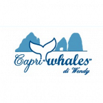 Capri Whales